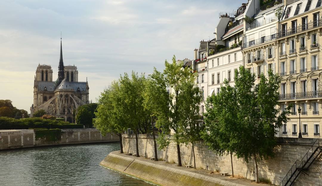 Une photo prise depuis l'ile saint louis à Paris avec vu sur notre de dame de Paris